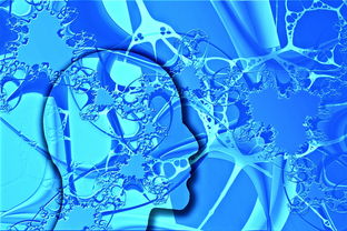 华体会体育hth-中国足球未来发展规划不明朗，中国足球发展方向  第3张